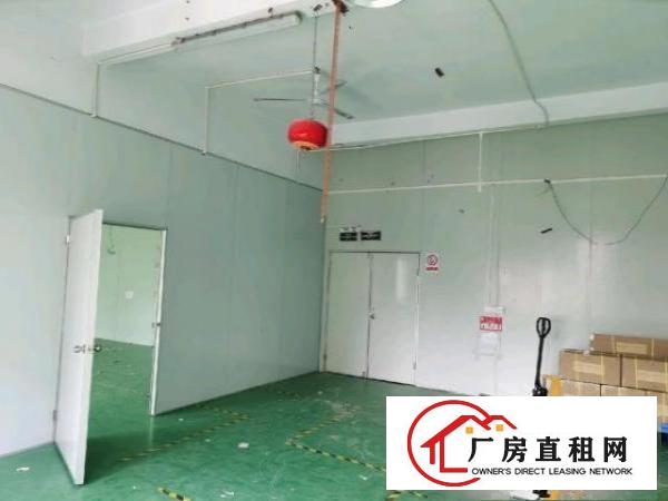  龙华大浪南路新出500平正规厂房，20元一平，先到先得！