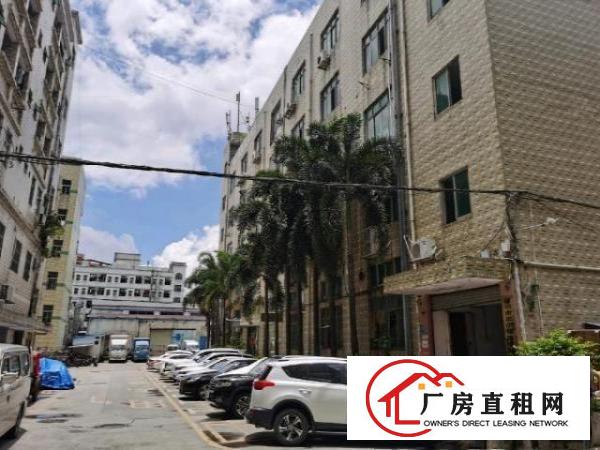  龙华大浪南路新出500平正规厂房，20元一平，先到先得！