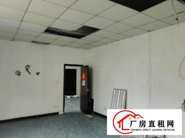  龙华大浪南路新出500平正规厂房，20元一平，先到先得！