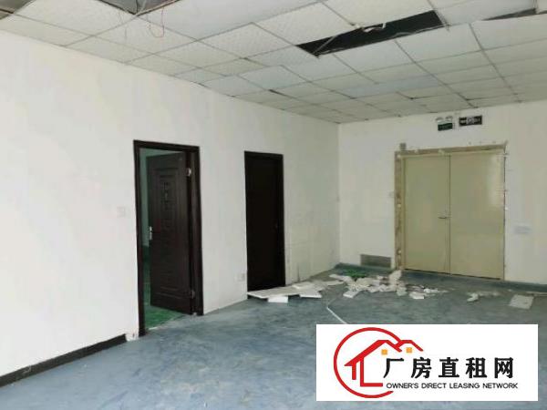  龙华大浪南路新出500平正规厂房，20元一平，先到先得！
