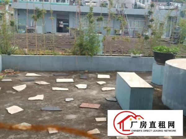  房东直租，办公楼出租，免费停车带大露台