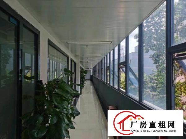  龙华清湖地铁口附近精装修办公室300平出租