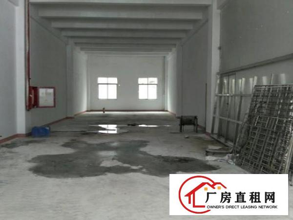  龙华区大浪新出厂房1000平出租