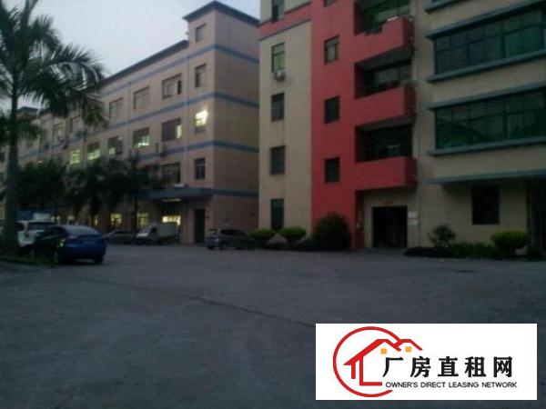  大浪澳华工业区新出3楼360平方带装修免转让费急租