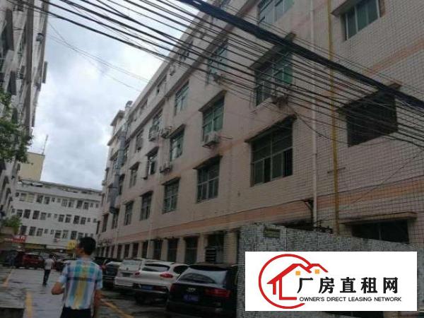  大浪亿康大厦克伦特低碳产业园新出三楼610平带装修厂房招租