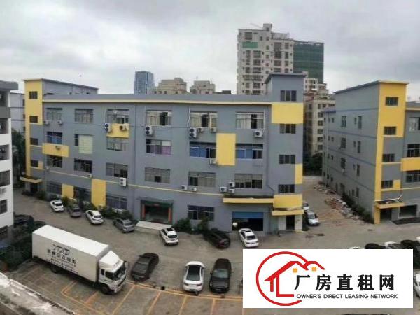  大浪商业中心新出三楼230平仓库带装修招租
