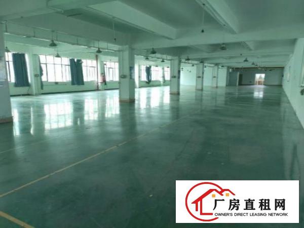  物业直租，花园式厂房，配套齐全