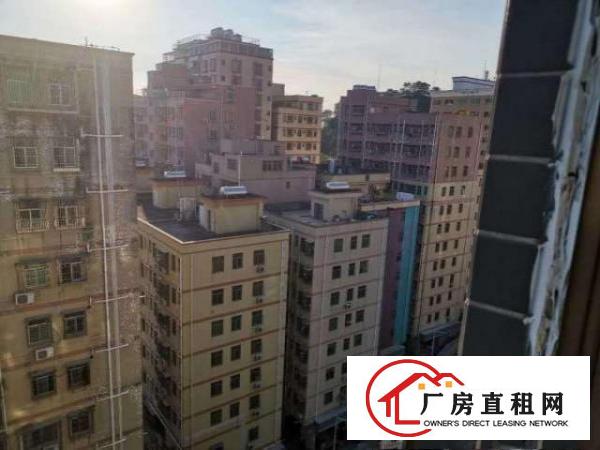  龙华大浪小型仓库分租