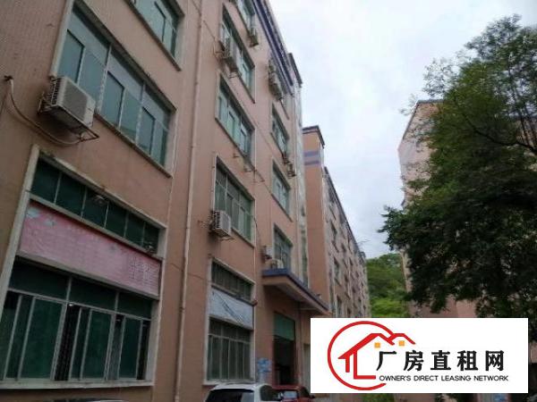  大浪深圳市龙华区大浪罗屋围厂房1300平米