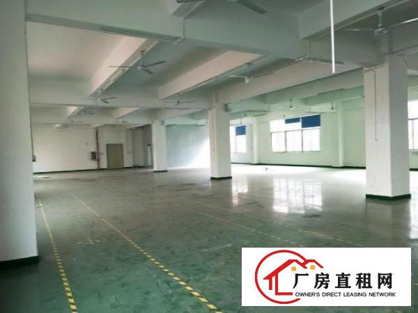  大浪深圳市龙华区大浪罗屋围厂房1300平米