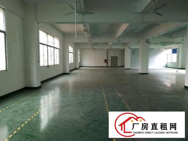  大浪深圳市龙华区大浪罗屋围厂房1300平米