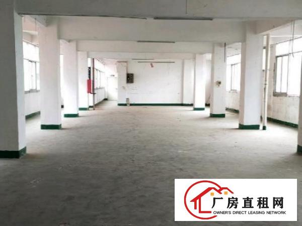  大浪深圳市龙华区大浪罗屋围厂房1300平米