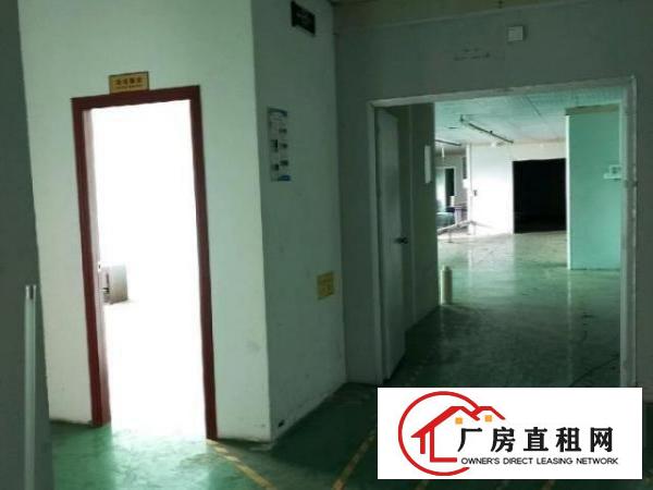  大浪深圳市龙华区大浪罗屋围厂房1300平米