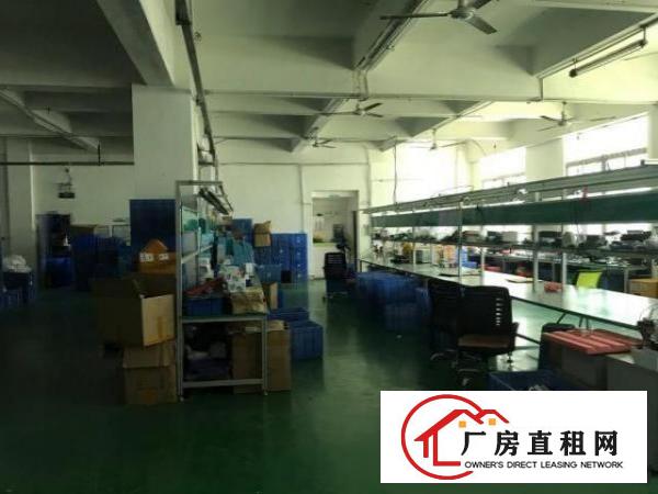  龙华大浪商业街新空出精装修3楼800平低价出租