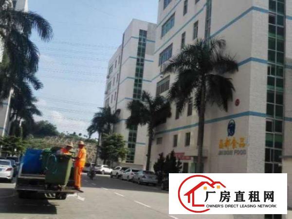  大浪鹊山路口元芬工业区新出三楼650平带装修厂房招租
