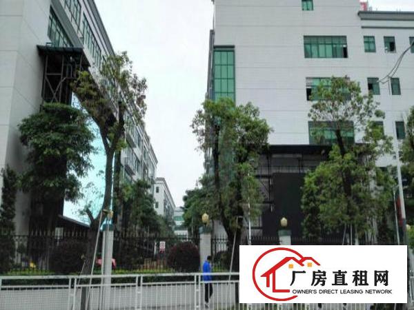  大浪嘉安达科技园新出一楼二楼每层2300平方招租