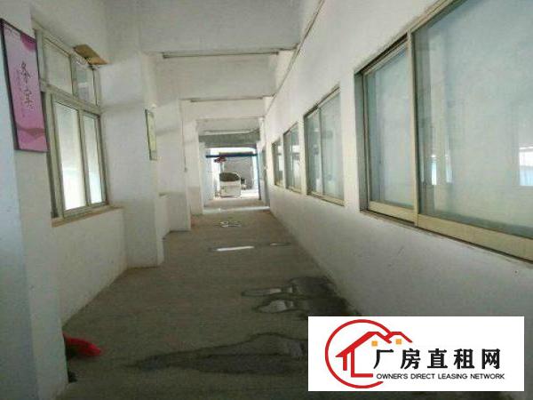 大浪嘉安达科技园新出一楼二楼每层2300平方招租