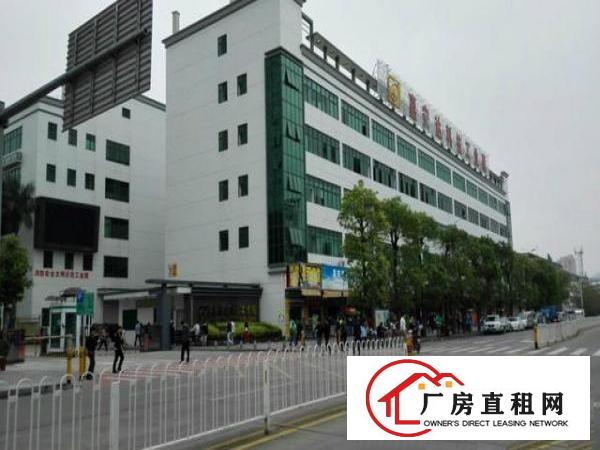  大浪嘉安达科技园新出一楼二楼每层2300平方招租