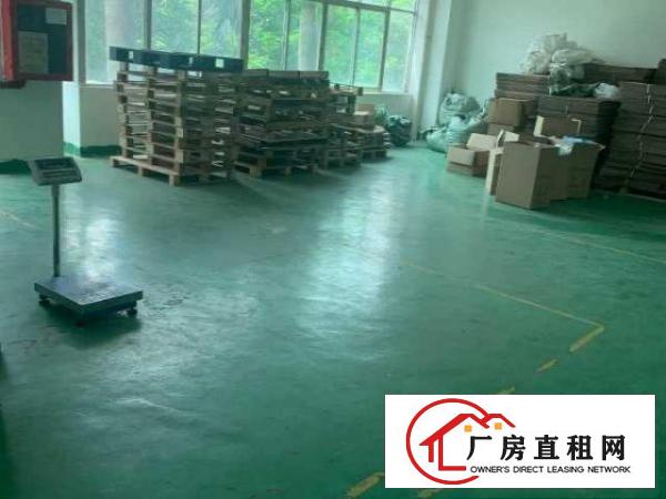  龙华大浪商业中心华繁路200-1000办公仓库厂房出租