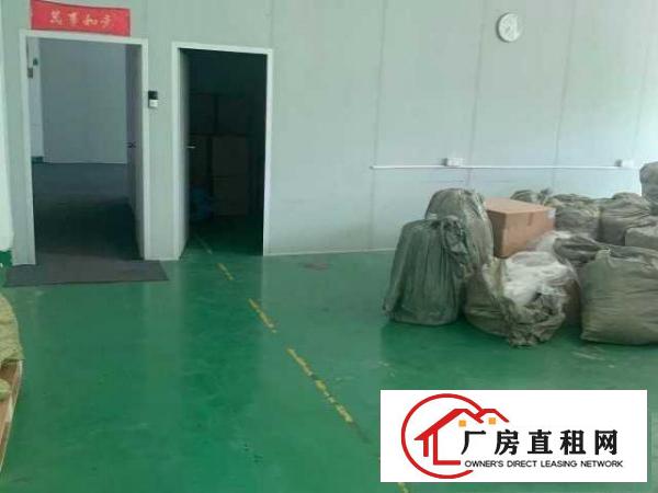  龙华大浪商业中心华繁路200-1000办公仓库厂房出租