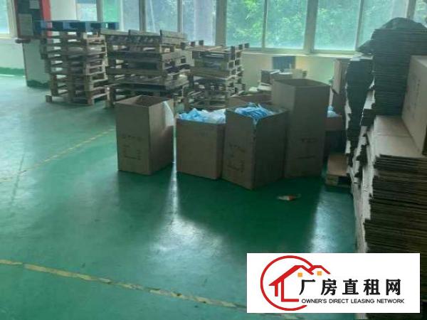 龙华大浪商业中心华繁路200-1000办公仓库厂房出租
