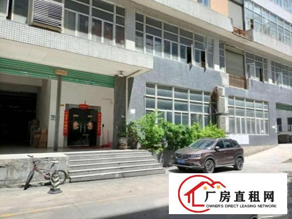  出租厂房，龙华大浪厂房出租