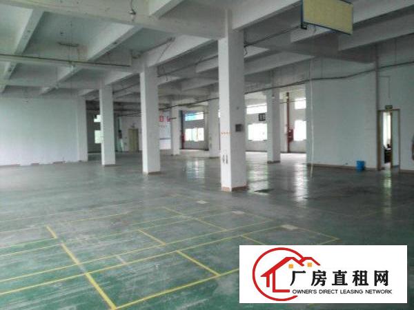  英泰工业区5000m2原房东无公摊厂房招租