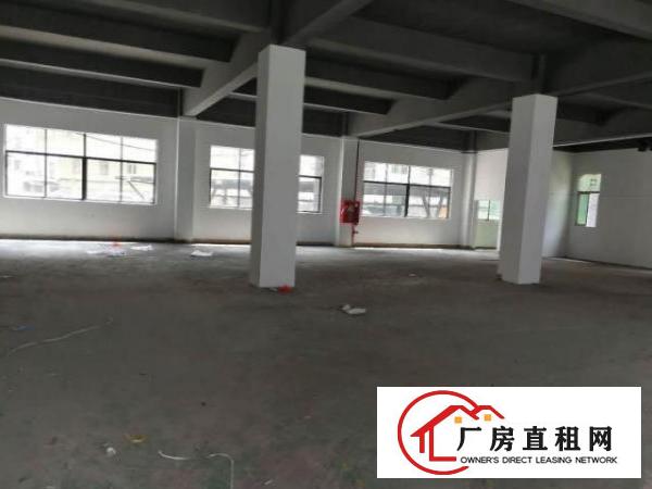  龙华大浪服装基地高新科技园550平廉价招租