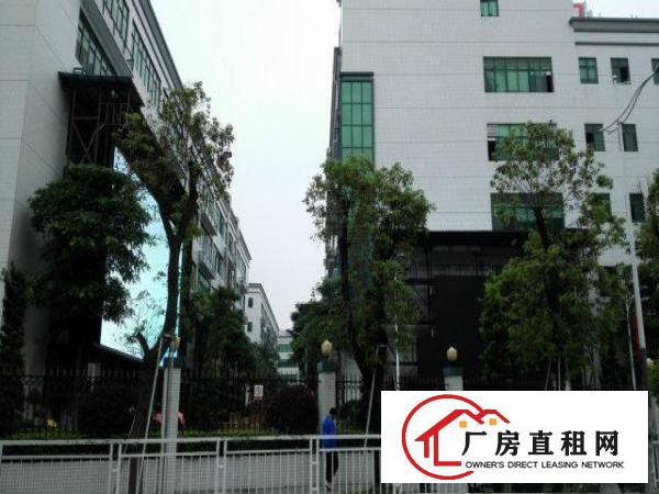  新出嘉安达科技园1-4层5200平米出租可分租