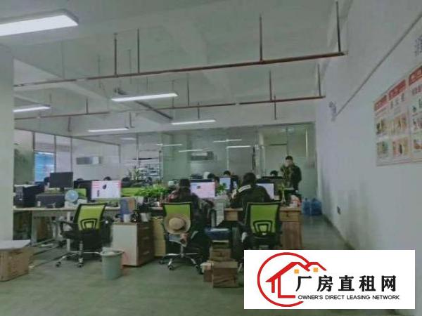  金富园区1到3层独院共4500平米出租可分层租