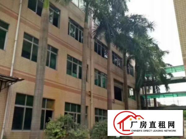  金富园区1到3层独院共4500平米出租可分层租