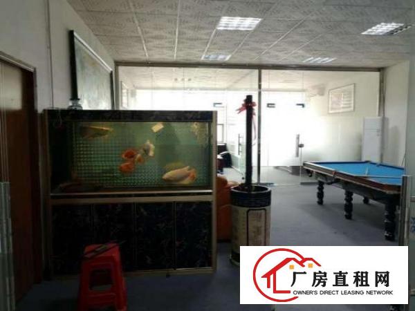  大浪商业中心新出三楼150平带装修适合电商贸易办公