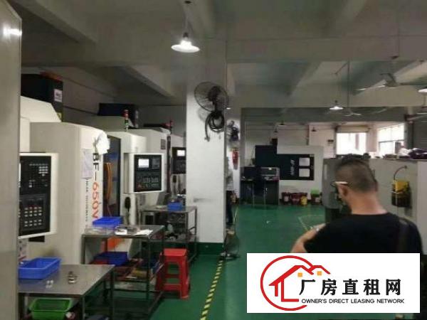  大浪石观工业区新出一楼250平带装修适合五金磨具
