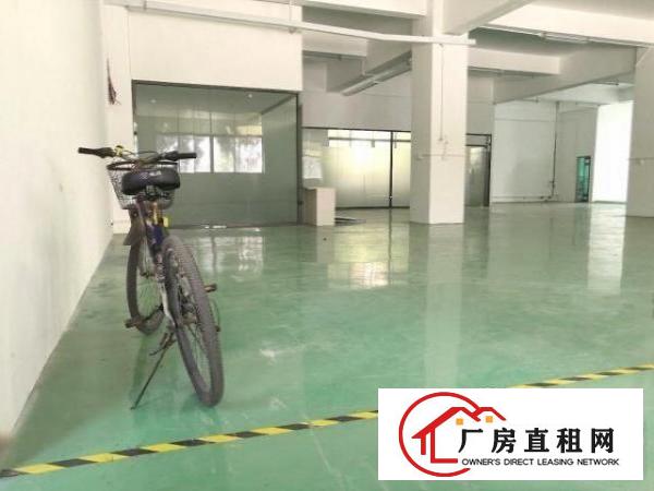  大浪新出工业园厂房，带装修和办公室，园区形象好，可以分租