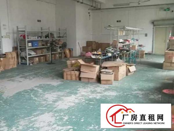  龙华大浪工业厂房分租
