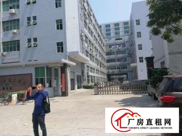  大浪鹊山路口佳丽工业区新出三楼560平带装修厂房招租