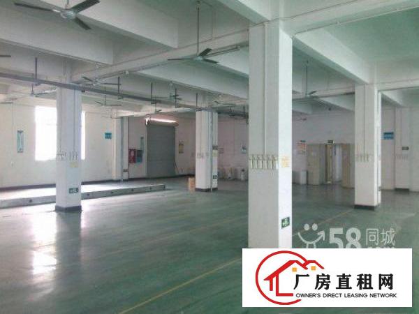  大浪商业中心旁金瑞中核新出三楼540平带装修适合电商贸易