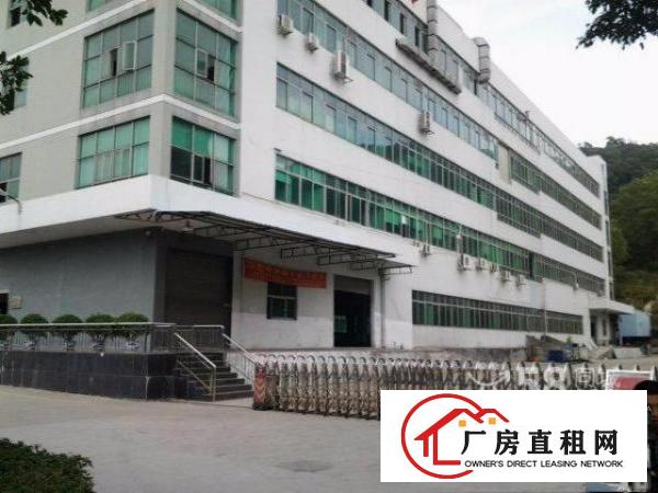  大浪商业中心旁金瑞中核新出三楼540平带装修适合电商贸易