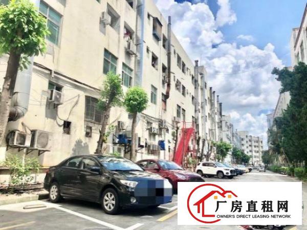  深圳龙华大浪原房东厂房出租面积793平