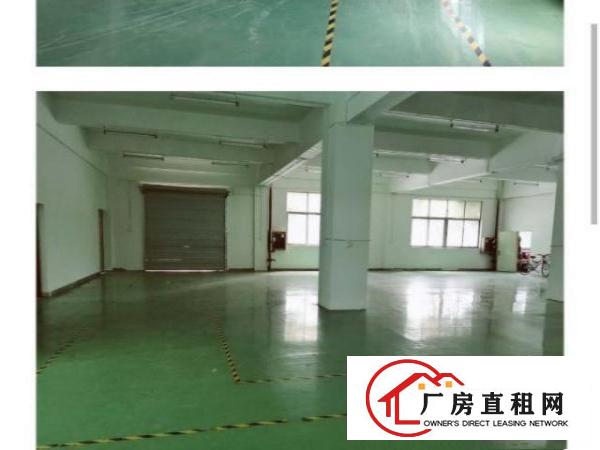  厂房出租，一楼带仓库。