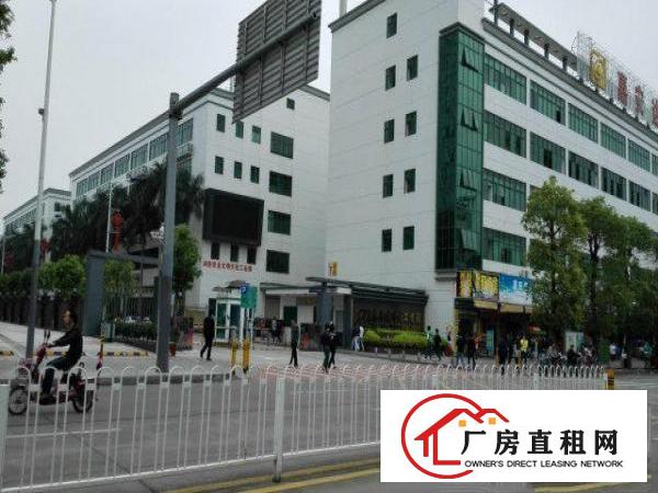  嘉安达科技园一楼300方形象带装修
