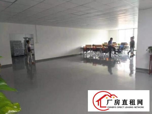 大浪国乐高新科技园新出500平带精装修免转让费急租