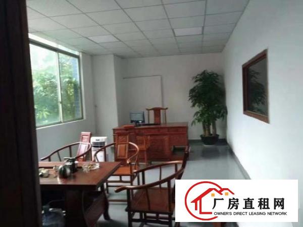  大浪国乐高新科技园新出500平带精装修免转让费急租