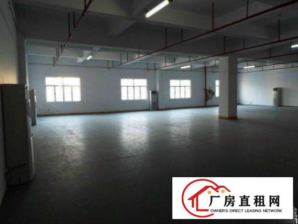  大浪澳华工业区一楼260平方带简装适合机械加工