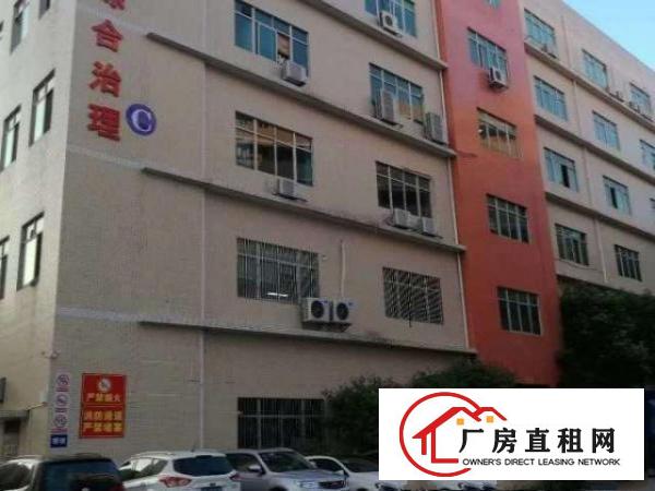  大浪澳华工业区一楼260平方带简装适合机械加工
