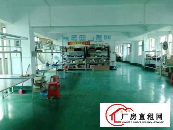  大浪新百丽明君工业区新出3楼600平带装修厂房招租