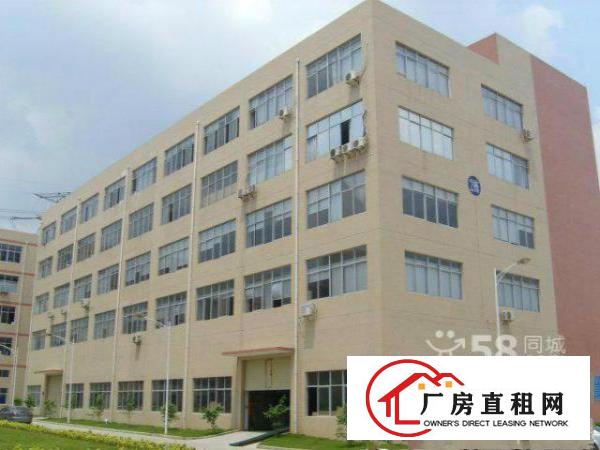  大浪金瑞中核工业园新出3楼480平带精装修免转让费