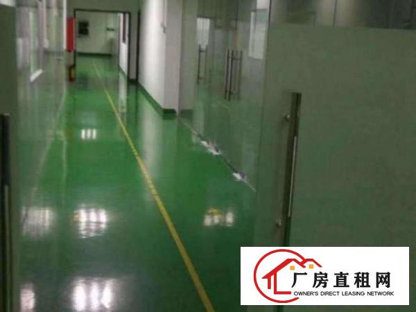  大浪华荣路边鹏腾达科技园三楼450平带无尘车间有装修厂房招租