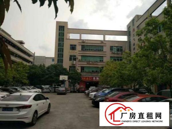  大浪华荣路边鹏腾达科技园三楼450平带无尘车间有装修厂房招租