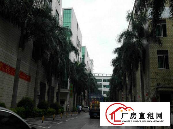 龙泉工业区新出一楼560平带简单装修低价出租